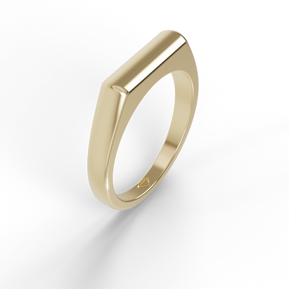 Guru Jewel's Silver Minimalist Signet Ring